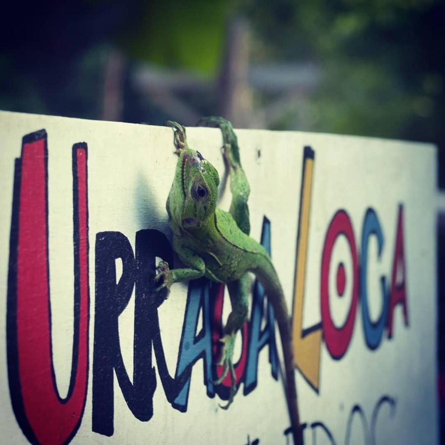 La Urraca Loca Hostel Balgue Zewnętrze zdjęcie
